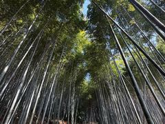 -苏州环秀晓筑养生度假村