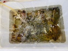 -健跳小海鲜(人民路店)