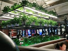 -猫爪爪原切自助烤肉(观音桥阳光世纪店)