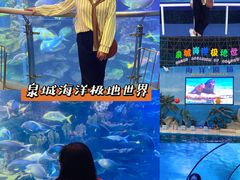 -泉城欧乐堡海洋极地世界