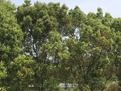 -翠茗农庄土菜馆(天目湖店)