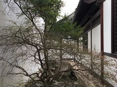 -常熟方塔园