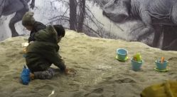 -恐龙探索乐园(磁器口店)