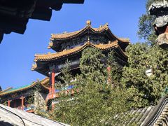 -宫事颐庭·老佛爷贵寿下午茶(颐和园店)