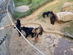 -无锡动物园·太湖欢乐园