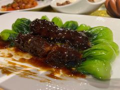素海参扒菜心-功德林(南京西路店)