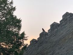 -东华门大街小区