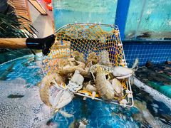-蓝珊甄选海鲜自助·火锅大排档(近阿那亚店)
