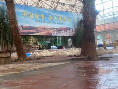 -中国死海旅游度假区