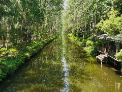 -合肥滨湖国家森林公园