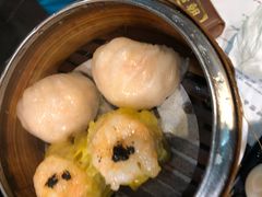 -糖朝(尖沙咀店)