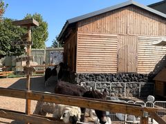 -HERRE·FARM 赫尔露营农场·团建聚会包场