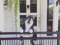 -TrueLove @ Neverland (Husky Cafe)