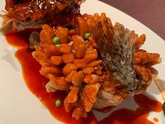 招牌松鼠桂鱼-RIVIERA 松鹤楼(外滩店)