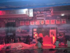 -大连圣亚海洋世界