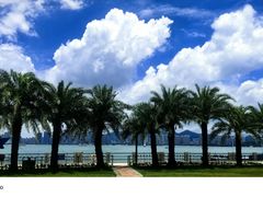 -荣誉海鲜酒楼(海湾店)