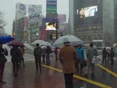 -涩谷全向十字路口