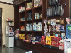 -宠爱国际动物医院· 猫科· 外科·中兽医(长白店)