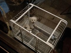 -TAIWAN·潭子茶屋