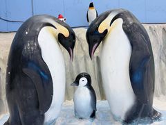 -广州热雪奇迹