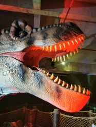 -恐龙探索乐园(磁器口店)