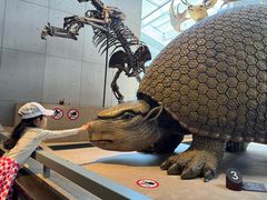 -Behring World of Animals(上海自然博物馆店)