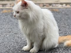 -天津东丽湖风景区