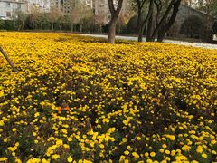 -上海市龙华烈士陵园