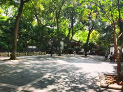 -白沙古井