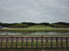 -迪茵湖田家舍生态农场