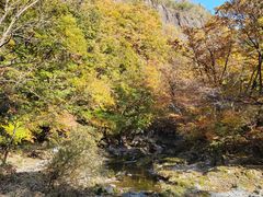 -关门山森林公园
