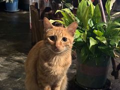 -小象钓虾·营地烧烤(洛溪店)