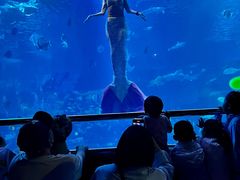 -太平洋海底世界