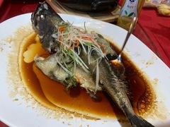 清蒸多宝鱼-万柳阁小馆·花园餐厅(龙潭湖店)