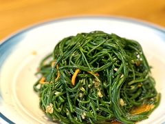 沙漠野沙葱-蒙古大营(朝阳公园店)