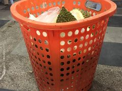 -SS2 榴梿鲜生