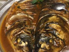 野生南湾鱼一鱼两吃-解家河南菜(商鼎路店)