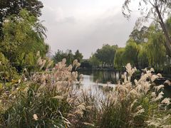 -月湖公园