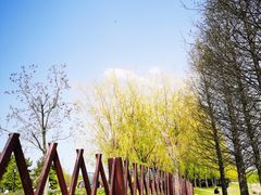 -羊亭河湿地公园