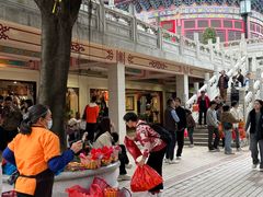 -广东圆玄道观