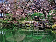 -醍醐寺