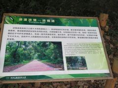 -南宁良凤江国家森林公园