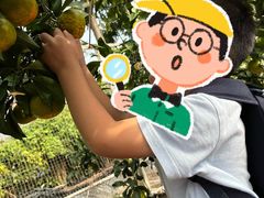 -前小桔亲子创意农场·草莓采摘·露营烧烤