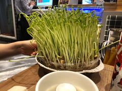 -好彩猪肚鸡(正弘城店)
