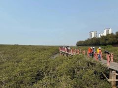 -北海金海湾红树林生态旅游区