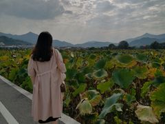 -古田会议纪念馆