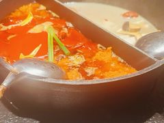 -大龙燚·旷野鲜火锅(广州首店)