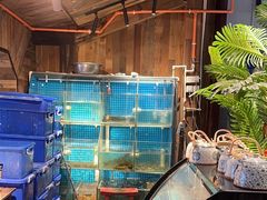 -西塘人家•黑金冠本地好店
