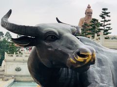 -广东圆玄道观