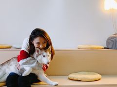 -Husky Go! 哈士奇体验馆·宠物咖啡厅狗咖